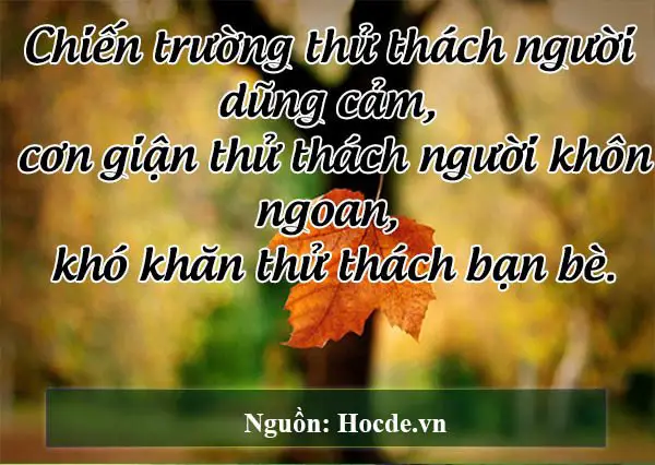 Bạn bè là những người mà khi cần ta có thể nói chuyện với họ không phải dùng đến lời nói.