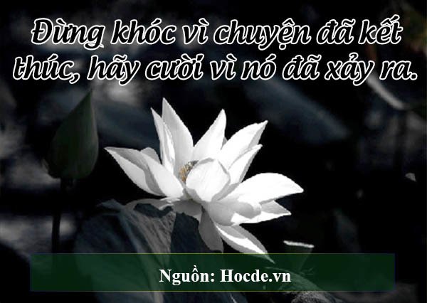 Bạn có 2 cách để thay đổi cuộc đời bạn từ bây giờ: Bắt đầu những hành động tích cực và ngừng ngay những hành động tiêu cực.