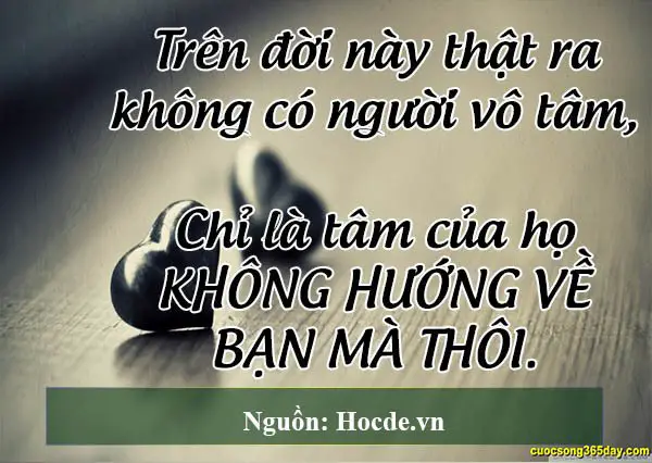 Đừng trách ai đó làm bạn thất vọng mà hãy trách bản thân đã trông đợi quá nhiều.