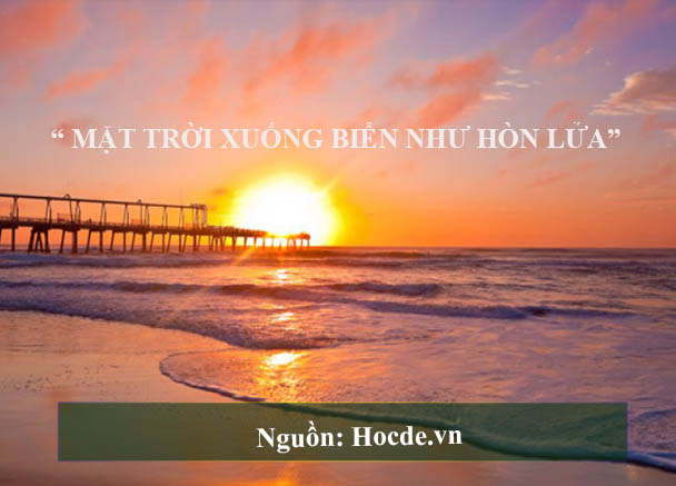 đoàn thuyền đánh cá đoàn thuyền đánh cá