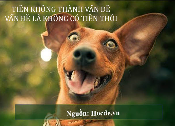 các câu nói hài hước 