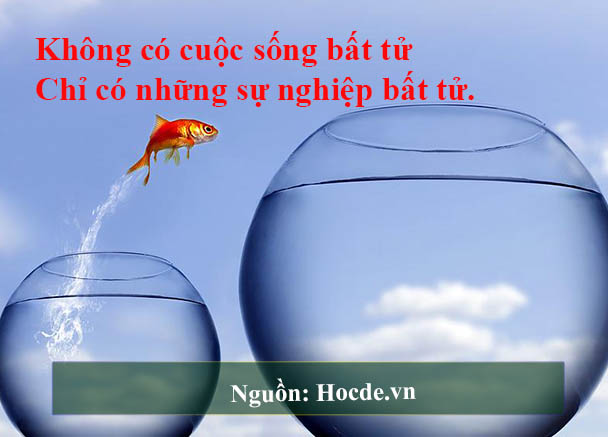 những câu nói hài hước về công việc