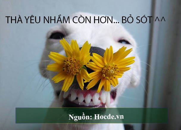 những câu nói bất hủ hài hước 