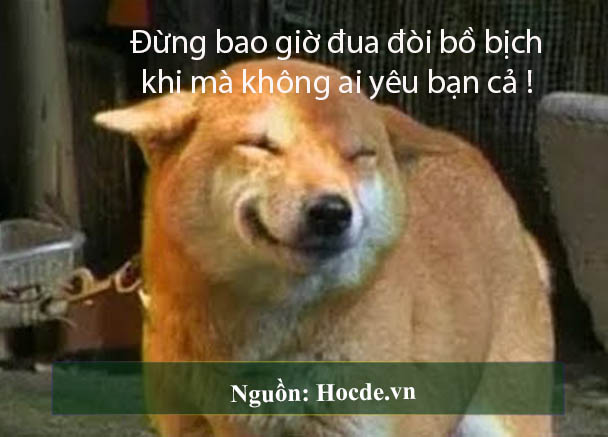 những câu nói hài hước về vợ chồng 